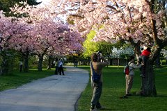 photo 0015